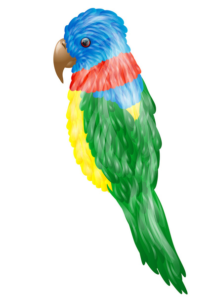 papegaai - Vector, afbeelding