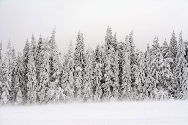 A mesmerizing shot of a beautiful winter landscape on a cloudy day - Zdjęcie, obraz