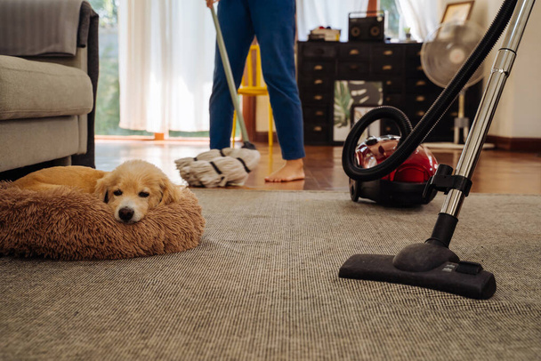 Happy young couple of woman cleaning carpet with vacuum cleaner machine and man mopping the floor at home - Foto, Imagen