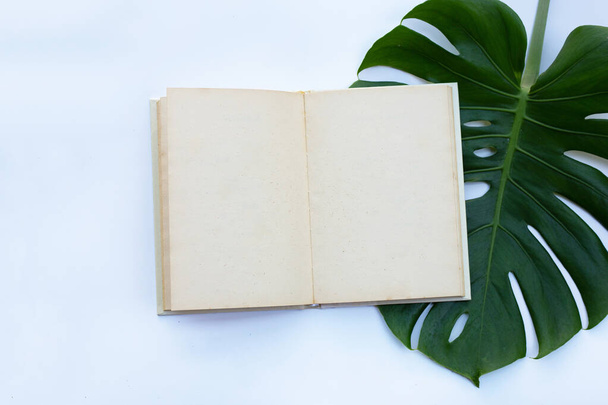 Notebook with green leaves on white background. - Φωτογραφία, εικόνα