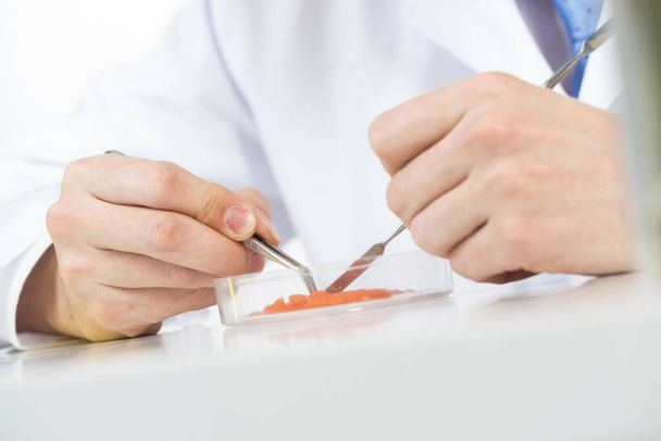 Researching food sample with tweezers - Photo, Image