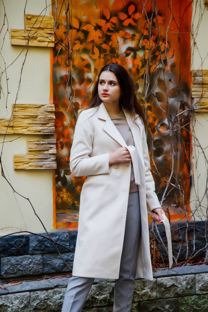 Fashionable young beautiful stylish woman in white coat walking on street. Autumn fashion trend for smiling, happy, purposeful female. Concept style, fashion, beauty and achievement goals. Copy space - Foto, Imagem