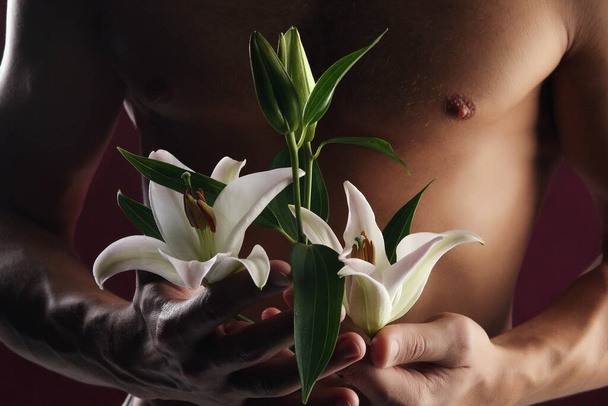 close-up of white lily in the hands against the background of a naked torso on dark background studio - Photo, image