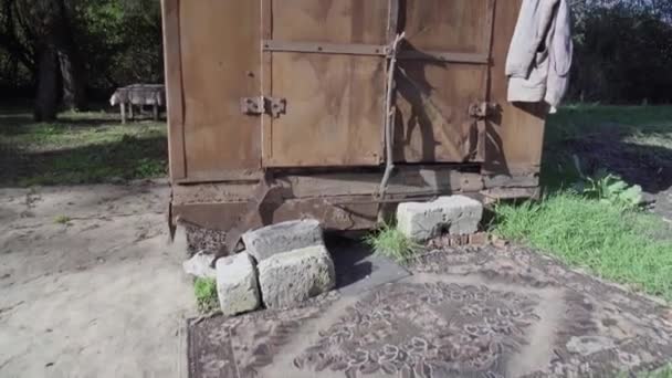 Rusty stary kontener opuszczony w lesie - Materiał filmowy, wideo