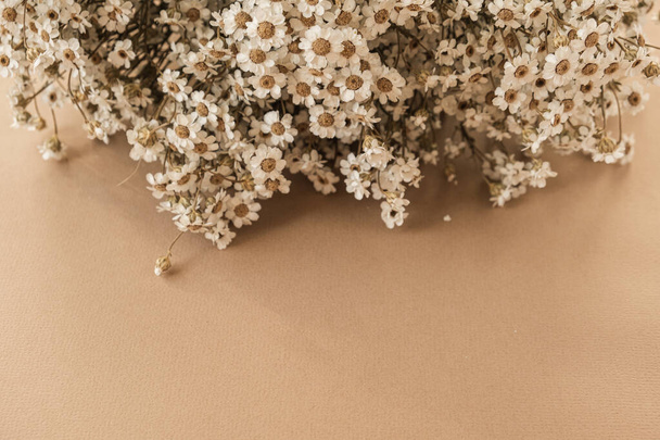 Krásné malé heřmánku sedmikrásky květiny kytice na pastelové béžové broskvové pozadí. - Fotografie, Obrázek