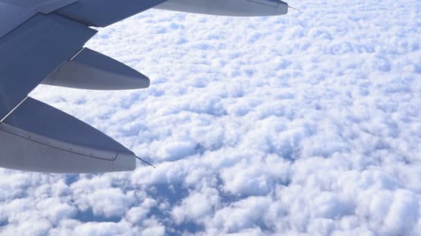 Εμπορικό αεροσκάφος που πετά πάνω από σύννεφα με μπλε ουρανό στο παρασκήνιο. Ταξιδιωτική και καλλιτεχνική έννοια - Πλάνα, βίντεο