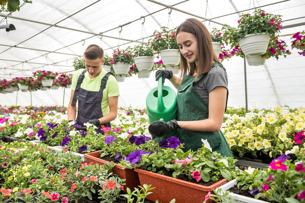 Zwei junge zufriedene Menschen gießen Pflanzen in einem schönen Gartencenter. Arbeit im Gewächshaus - Foto, Bild