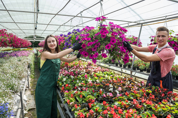 Δύο νέοι ιδιοκτήτες του θερμοκηπίου φροντίζουν τα λουλούδια τους που καλλιεργούνται προς πώληση. Τρόπος ζωής - Φωτογραφία, εικόνα