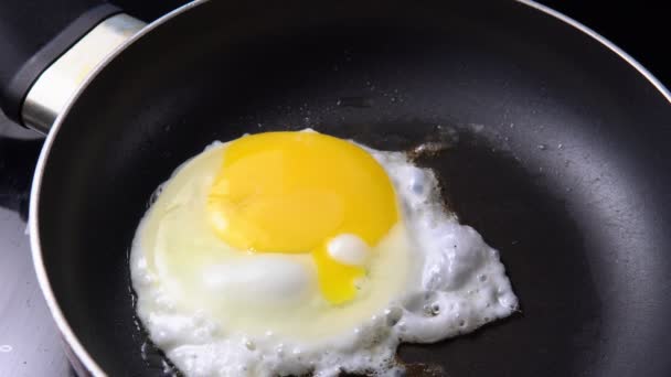 μαγείρεμα γκρο πλαν άποψη ενός τηγανισμένου αυγού σε ένα τηγάνι - Πλάνα, βίντεο