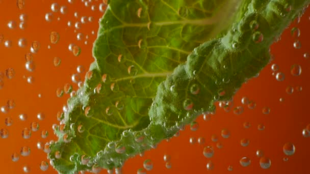 φύλλα σαλάτας σε αεριούχο νερό σε πορτοκαλί φόντο - Πλάνα, βίντεο