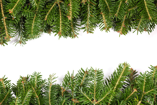 Natural fir Christmas tree border frame isolated on white , copy space for text - Fotografie, Obrázek