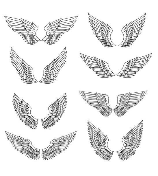 Heraldic wings set - Vetor, Imagem