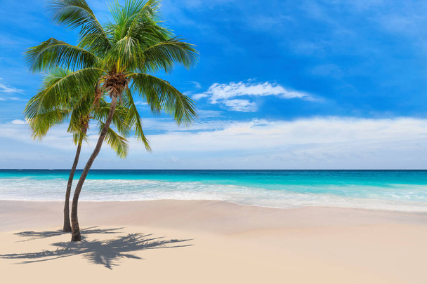 Plage ensoleillée avec palmiers et mer turquoise en Jamaïque Caraïbes île. Vacances d'été et concept de plage tropicale.   - Photo, image