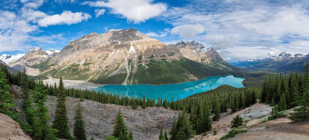 Panoramic view of beautiful turquoise waters of the Peyto Lake with snow-covered peaks above it in Rocky Mountains, Banff National Park, Canada. - Photo, Image
