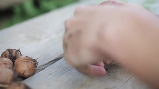 Sluitingen van krakende walnoten met de hand op houten bank - Video