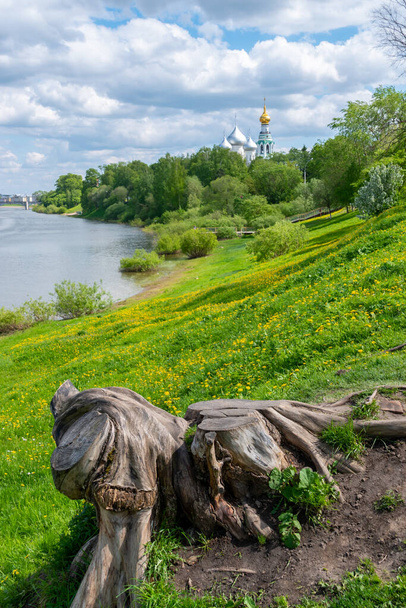 Stump of an unusual shape on the banks of the Vologda River on a clear spring day - Φωτογραφία, εικόνα