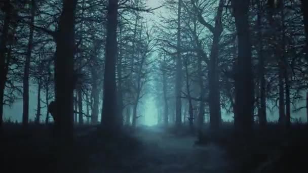 Looped animation of flying through a scary forest - Footage, Video