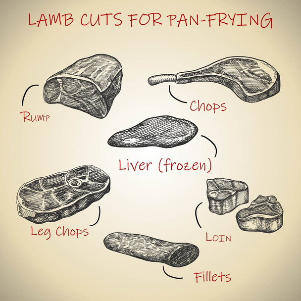 Set di carne trafilata a mano vettoriale per tagli di agnello per padella. - Vettoriali, immagini