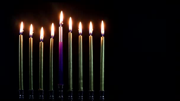 Židovský festival světel sváteční symbol Chanuka menorah v hanukkiah na svíčkách - Záběry, video