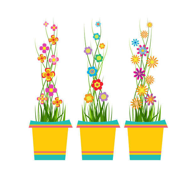 Spring Flowers In Pots - Vetor, Imagem