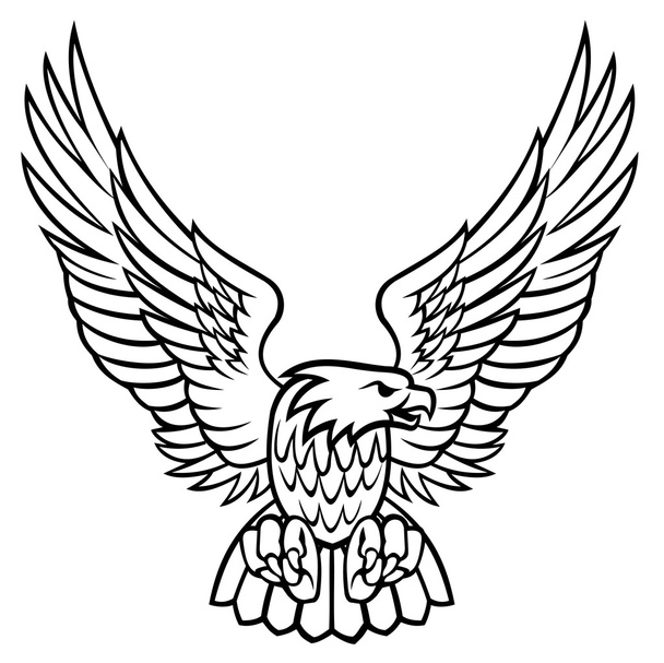 Eagle - Vector, Image