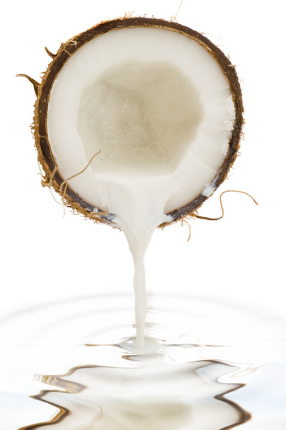 Coco nut isolated - Foto, imagen