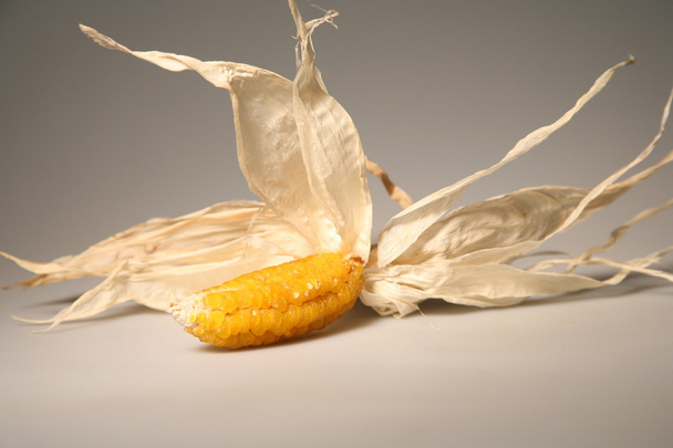 Dried corn - Фото, изображение