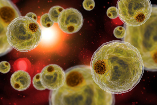 Células grasas humanas blancas saludables también conocidas como adipocitos ilustración 3d - Foto, imagen