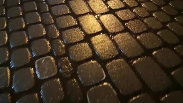 Текстуровані тротуарні плити в снігопаді
 - Кадри, відео
