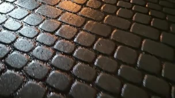 Losas de pavimentación texturizadas en nevadas - Metraje, vídeo