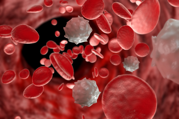 Glóbulos rojos y blancos humanos sanos macro ciencia Ilustración 3D - Foto, imagen