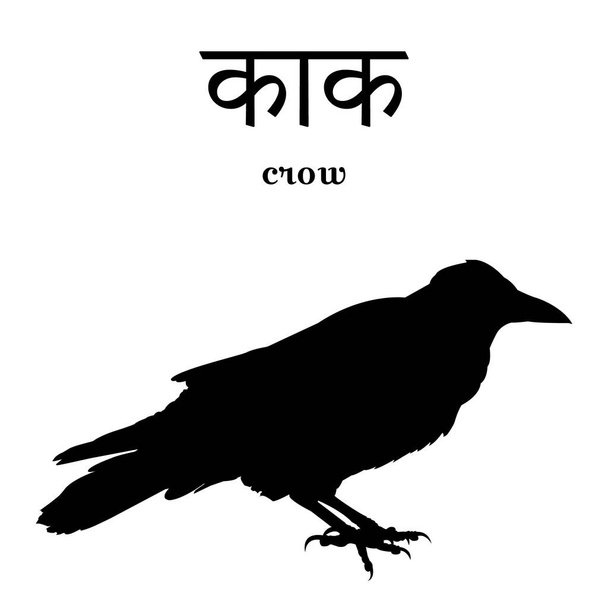 Silhouette einer Krähe mit einer Inschrift in Sanskrit und Englisch. Isoliert in Weiß. Vektorillustration - Vektor, Bild