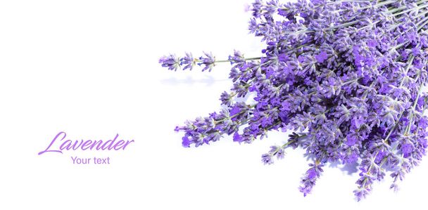 Lavendelblüten im Garten. Heller Sommerhintergrund. Lavendel - Foto, Bild