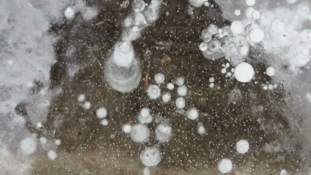 Texture pattern background white Winter, river ice air bubbles stagnant. drawing on ice frost formed. - Footage, Video