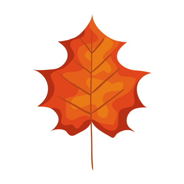 autumn season orange leaf nature icon - Vector, Image