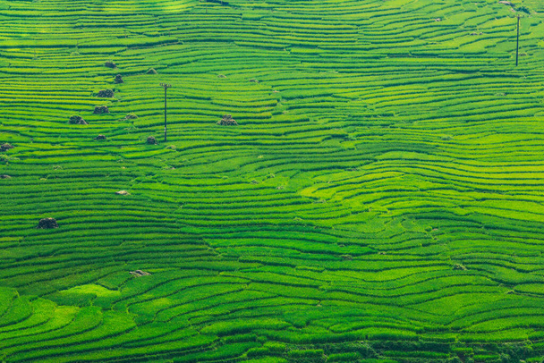 Rijstvelden op terrassen van Mu Cang Chai Yenbai Vietnam. Rijstvelden bereiden de oogst op Northwest Vietnam.Vietnam landschappen - Foto, afbeelding