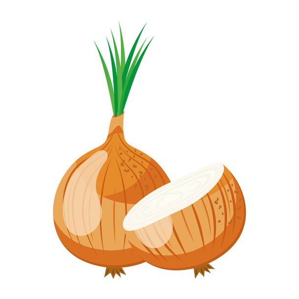 fresh vegetable onion healthy food icon - Vector, Image