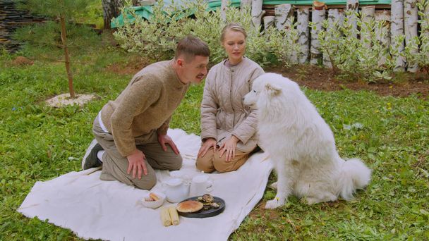 Picnic en el césped en verano en la naturaleza de una joven pareja con un lindo perro blanco Samoyed. Jugar con una mascota en una manta. - Foto, Imagen