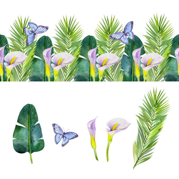 Borda sem costura com flores tropicais brilhantes e folhas. Conjunto com plantas tropicais (folha de banana, lírio calla, folha de palma, borboleta azul) - Foto, Imagem