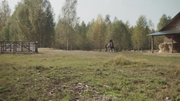 Magántulajdon stabil. Egy tapasztalt lovas belovagol egy fedett istállóba. Lassú mozgás széles szög. - Felvétel, videó