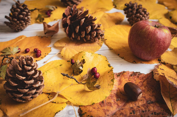 Closeup of autumn fall seasonal composition with yellow leaves, pine cones, apple, red berries and nut over white wooden texture background. - Foto, imagen