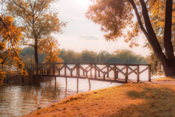 Μικρή ξύλινη γέφυρα πάνω από τη λίμνη σε παραμύθι χρυσό φθινόπωρο δάσος. - Φωτογραφία, εικόνα