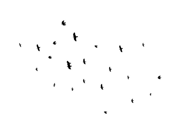 Een zwerm vliegende vogels. Vectorillustratie - Vector, afbeelding