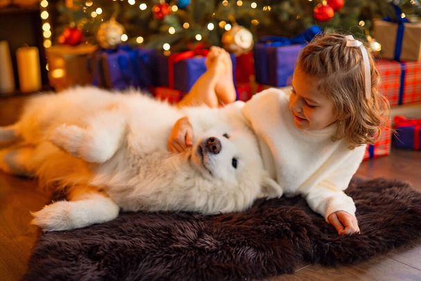 Little cute girl with a white malamut dog near christmas tree - Fotografie, Obrázek