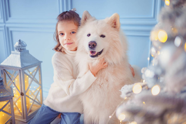 Little cute girl with a white malamut dog near christmas tree - Zdjęcie, obraz