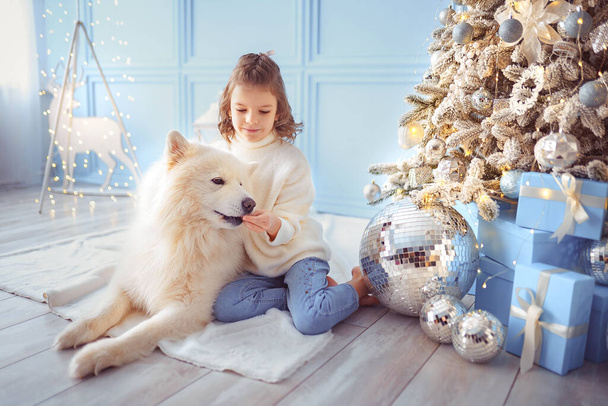 Little cute girl with a white malamut dog near christmas tree - Foto, Imagen