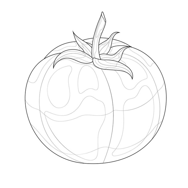Tomato.Coloring book antistress for children and adults.Zen-tangle style.Black and white drawing - Vector, Image