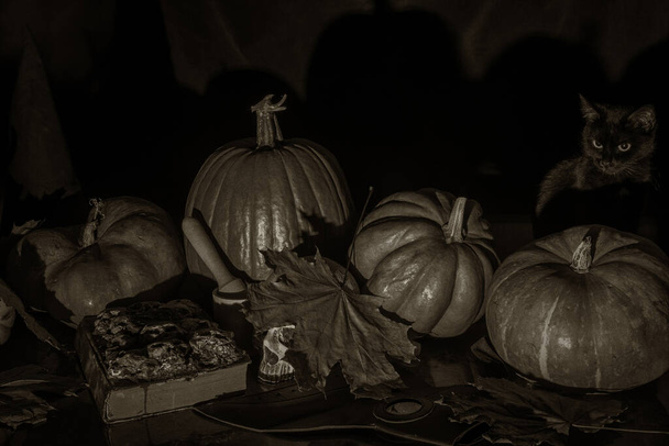 Cute black cat sitting on the table among pumpkins - Photo, image