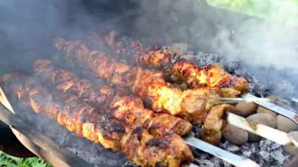 brochettes barbecue brochettes de viande kebabs avec grill - Séquence, vidéo