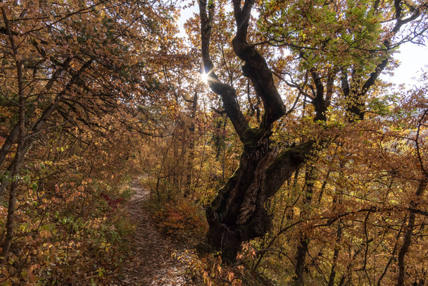 Golitsin's trail from the Sokolinoevillage to the Great Canyon of Crimea - Foto, imagen